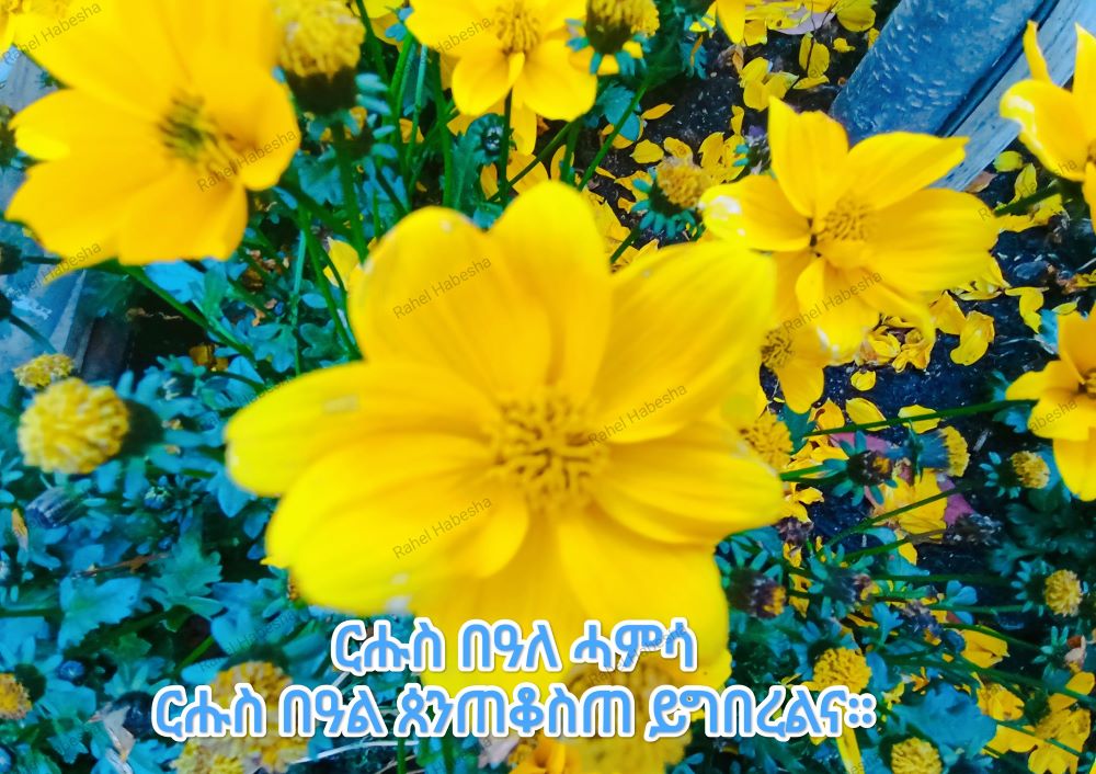 Pentecost/ጴንጠቆስጠ/ Pinkstre/በዓለሓምሳ-00067