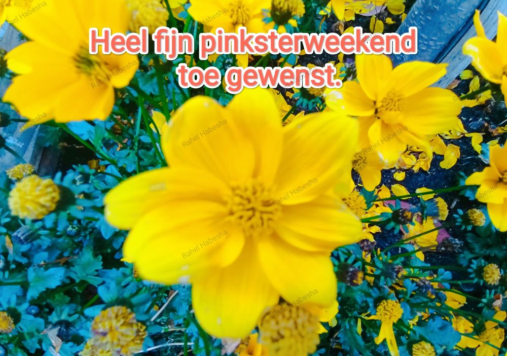 Pentecost/ጴንጠቆስጠ/ Pinkstre/በዓለሓምሳ-00063