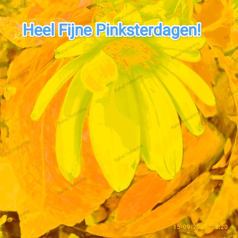 Pentecost/ጴንጠቆስጠ/ Pinkstre/በዓለሓምሳ-0009