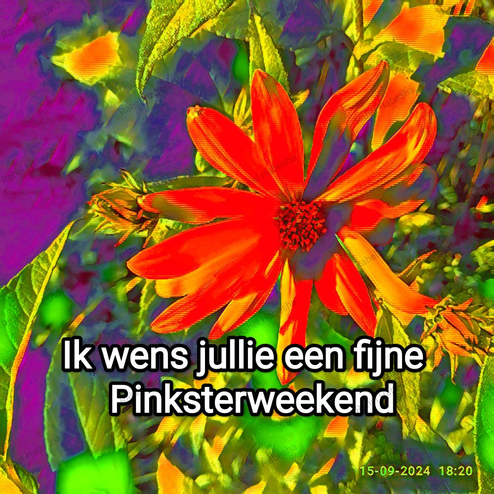 Pentecost/ጴንጠቆስጠ/ Pinkstre/በዓለሓምሳ-0007