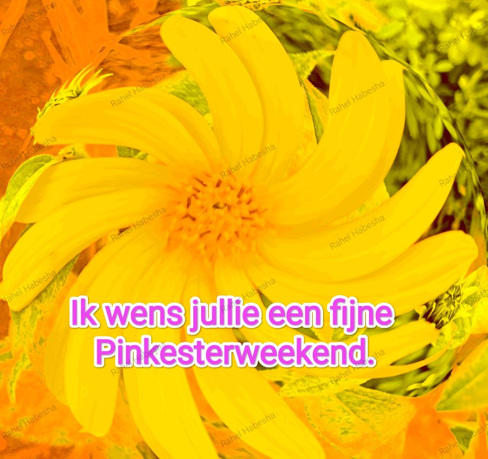 Pentecost/ጴንጠቆስጠ/ Pinkstre/በዓለሓምሳ-0004