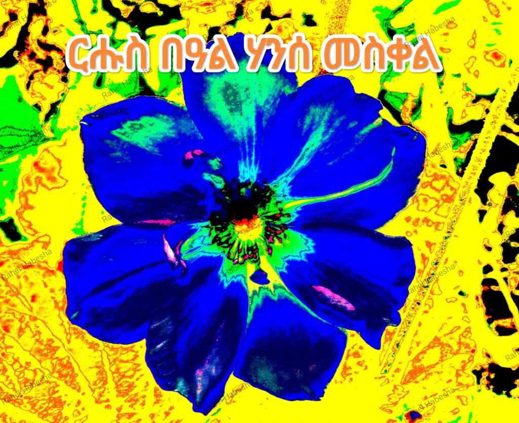 8 nku-00018
