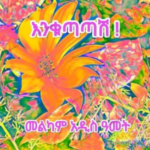 Enku-00034