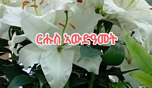 Enku-00044